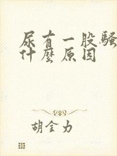 尿有一股骚臭味什么原因