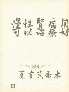 慢性肾病用透析可以治疗好吗