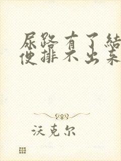 尿路有了结石小便排不出来怎么办