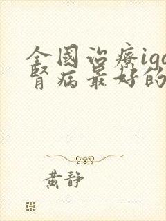 全国治疗iga肾病最好的专家