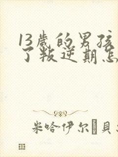 13岁的男孩到了叛逆期怎么教育