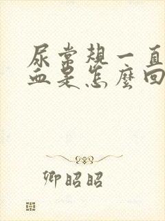 尿常规一直有隐血是怎么回事?