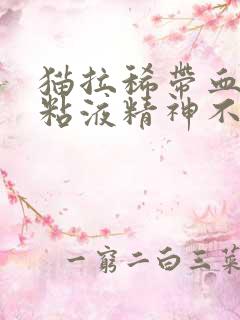 猫拉稀带血丝有粘液精神不好