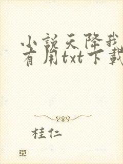 小说天降我才必有用txt下载