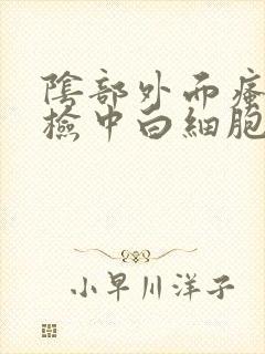 阴部外面瘙痒尿检中白细胞高