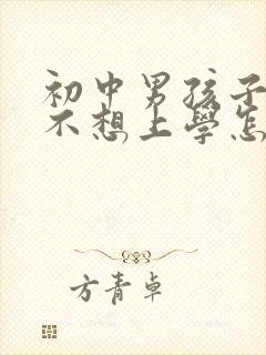 初中男孩子叛逆不想上学怎么办