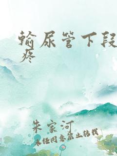 输尿管下段结石疼