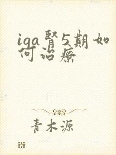 iga肾5期如何治疗