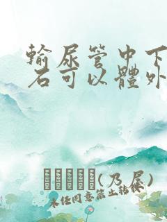 输尿管中下段结石可以体外震波碎石吗