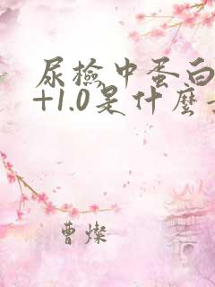 尿检中蛋白质2+1.0是什么意思