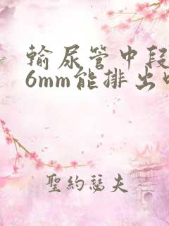 输尿管中段结石6mm能排出吗