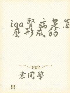 iga肾病是怎么形成的