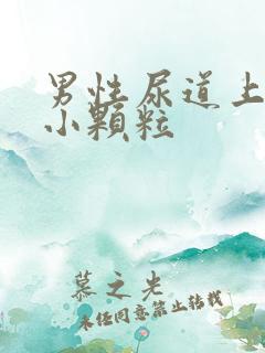 男性尿道上出现小颗粒