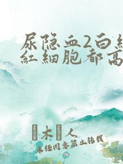 尿隐血2白细胞红细胞都高