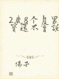 2岁8个月男宝宝还不会说话