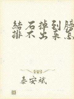 结石掉到膀胱里排不出来怎么办