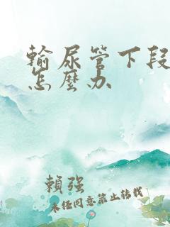 输尿管下段结石怎么办