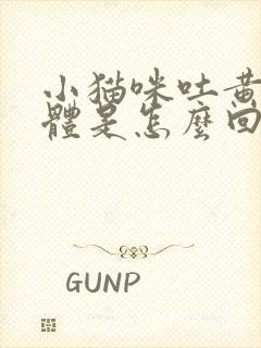 小猫咪吐黄色液体是怎么回事