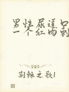 男性尿道口起了一个红肉刺