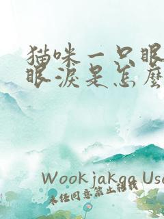 猫咪一只眼睛流眼泪是怎么回事