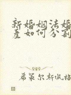 新婚姻法婚前财产如何分割