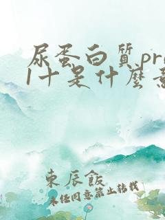 尿蛋白质pro1十是什么意思