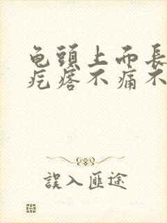 龟头上面长了小疙瘩不痛不痒