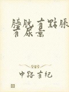 膀胱有点胀一直有尿意