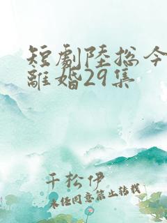 短剧陆总今天要离婚29集
