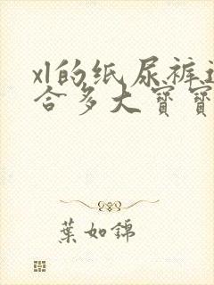 xl的纸尿裤适合多大宝宝