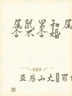 属鼠男和属牛女合不合婚