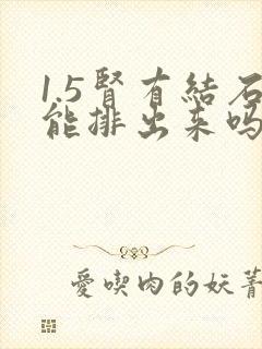 1.5肾有结石能排出来吗