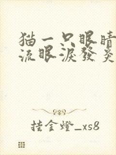 猫一只眼睛红肿流眼泪发炎