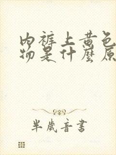 内裤上黄色分泌物是什么原因