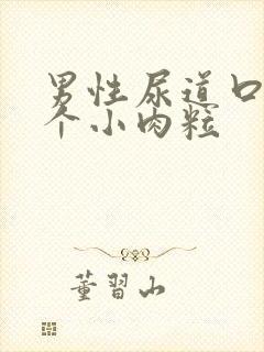 男性尿道口内有个小肉粒