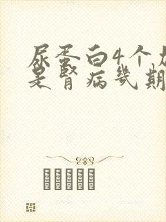 尿蛋白4个加号是肾病几期