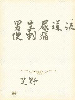 男生尿道流脓小便刺痛