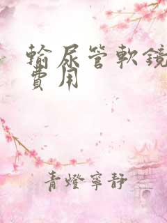 输尿管软镜排石费用