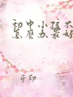 初中小孩不上学怎么办最好的方法