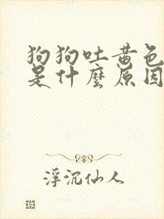 狗狗吐黄色粘液是什么原因