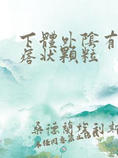 下体外阴有肉疙瘩状颗粒