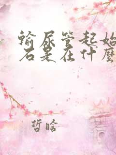 输尿管起始段结石是在什么位置