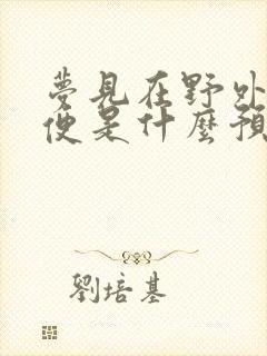 梦见在野外拉大便是什么预兆