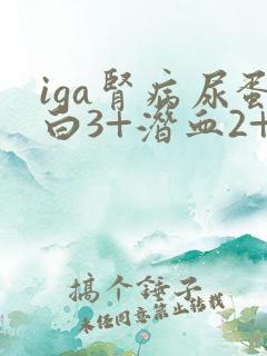 iga肾病尿蛋白3+潜血2+严重吗