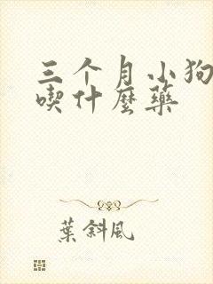 三个月小狗窝咳吃什么药