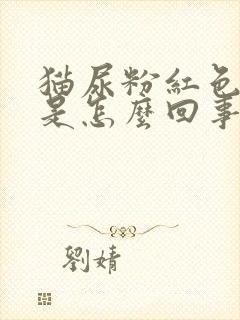 猫尿粉红色的尿是怎么回事