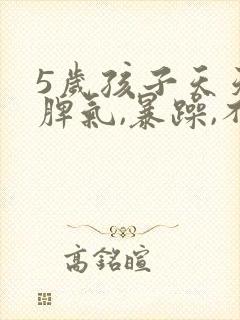 5岁孩子天天发脾气,暴躁,不听话