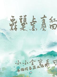 龟头上有红色点点是怎么回事