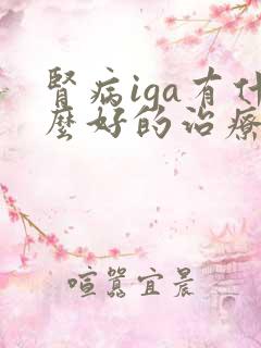 肾病iga有什么好的治疗方法