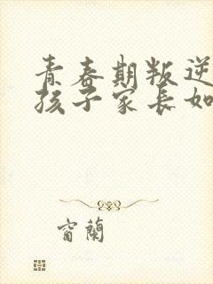 青春期叛逆期男孩子家长如何沟通